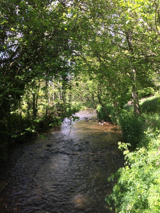 Bow Mill Farm Bed and Breakfast Totnes Εξωτερικό φωτογραφία