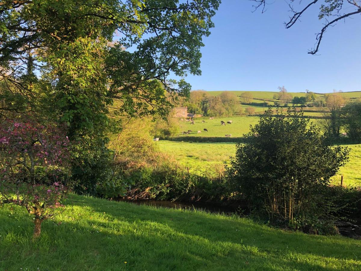 Bow Mill Farm Bed and Breakfast Totnes Εξωτερικό φωτογραφία